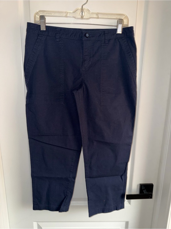 Patagonia Pants - Patagonia Women’s Blue Cargo Capri Pants Size 6 Outdoor Hiking Utility NWOT